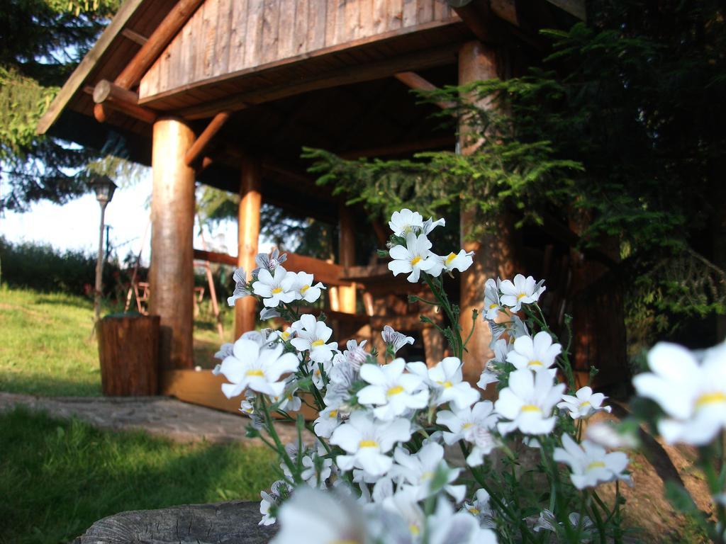 Willa Na Bani - Apartamenty I Pokoje Rabka Exterior photo